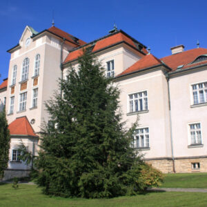gymnazium